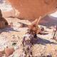 Mass Effect Andromeda Desavenencias internas - Pad de datos kett