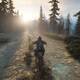 Days Gone - Capturas de la versin final - 