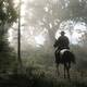 Imgenes del lanzamiento de Red Dead Redemption 2 - 