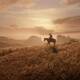 Imgenes del lanzamiento de Red Dead Redemption 2 - 