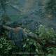 Days Gone - Imgenes en PC - 