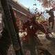 Shadow Warrior 2 - 