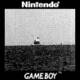 Game Boy Camera - Barco - 
