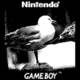 Game Boy Camera - Pjaros - 