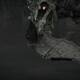 Shadow of the Colossus remake - 