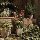 DLSS 5 - 