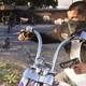 GTA VI GameInformer - gtavi giexclusive11